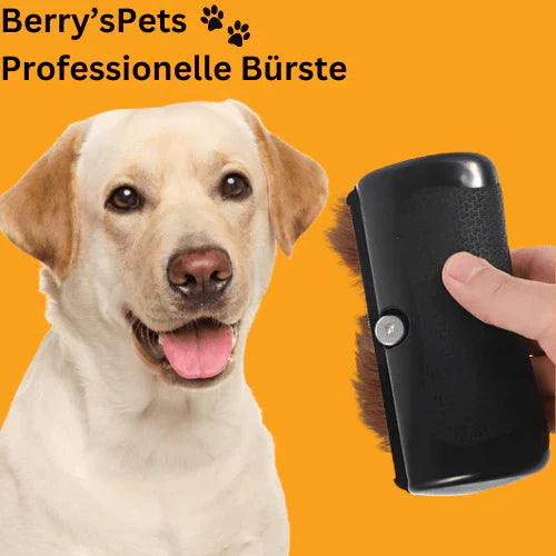 💥Többfunkciós állatfésű szőrcsomók eltávolításához🐶🐱