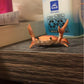 🤣 Vicces forró akció 🦀 Aranyos rák alakú tolltartó