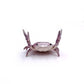 🤣 Vicces forró akció 🦀 Aranyos rák alakú tolltartó