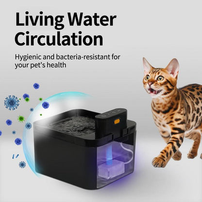 🐱Rozsdamentes acélból készült itató macskáknak és kutyáknak💧USB-ről működik és folyó vízzel