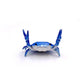 🤣 Vicces forró akció 🦀 Aranyos rák alakú tolltartó