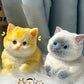 😻Cuki és puha macska alakú játék💕(stresszoldó)-2