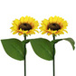 🌻✨Napraforgó alakú napelemes lámpák – automatikus be-/kikapcsolás☀️