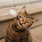 🔥AKCIÓ 50% KEDVEZMÉNY🐱Tartsd macskádat egész nap boldognak és aktívnak 🐦
