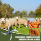 🔥Háztartási mezőgazdasági fűaprító kés pengék 👨‍🌾👍