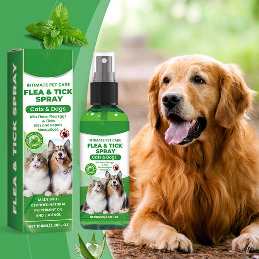 🍃Természetes bolha- és kullancsirtó spray kutyáknak és macskáknak🐶🐱✨