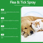 🍃Természetes bolha- és kullancsirtó spray kutyáknak és macskáknak🐶🐱✨