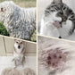 🐈 Egy gombnyomással eltávolítja a szőrcsomókat és kifésüli a szőrt