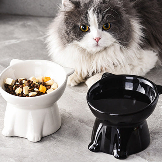 🥣Ergonómikus, emelt műanyag macskatál🐱
