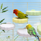 ☁️50% KEDVEZMÉNY! 🐦Aranyos felhő alakú madárülő🌈✨