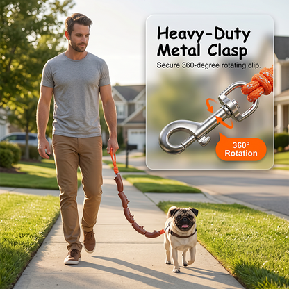 🐶Aranyos vidám tacskó mintás design kifejezetten dachshund kutyákhoz