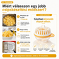 🥔Olajmentes mikrohullámú zöldségcsipsz-készítő