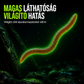 ⏰Korlátozott ideig 50% kedvezmény🎣Bionikus földigiliszta-utánzatú lágycsali