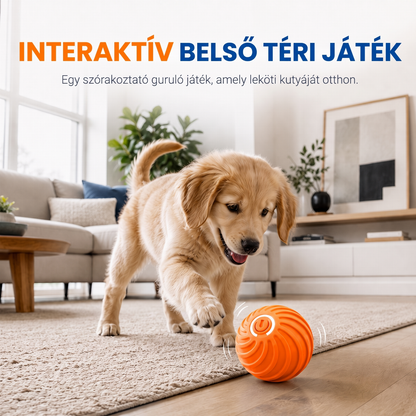 🏆Korlátozott ideig tartó akció: 50% kedvezmény 🐶🐾Intelligens interaktív pattogó labda
